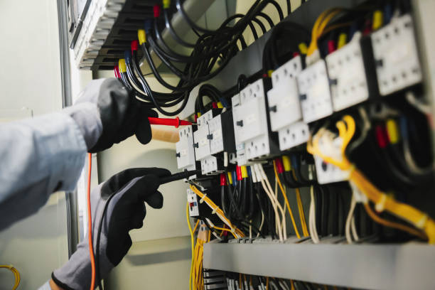 Best Electrical Panel Upgrades  in Hale Center, TX